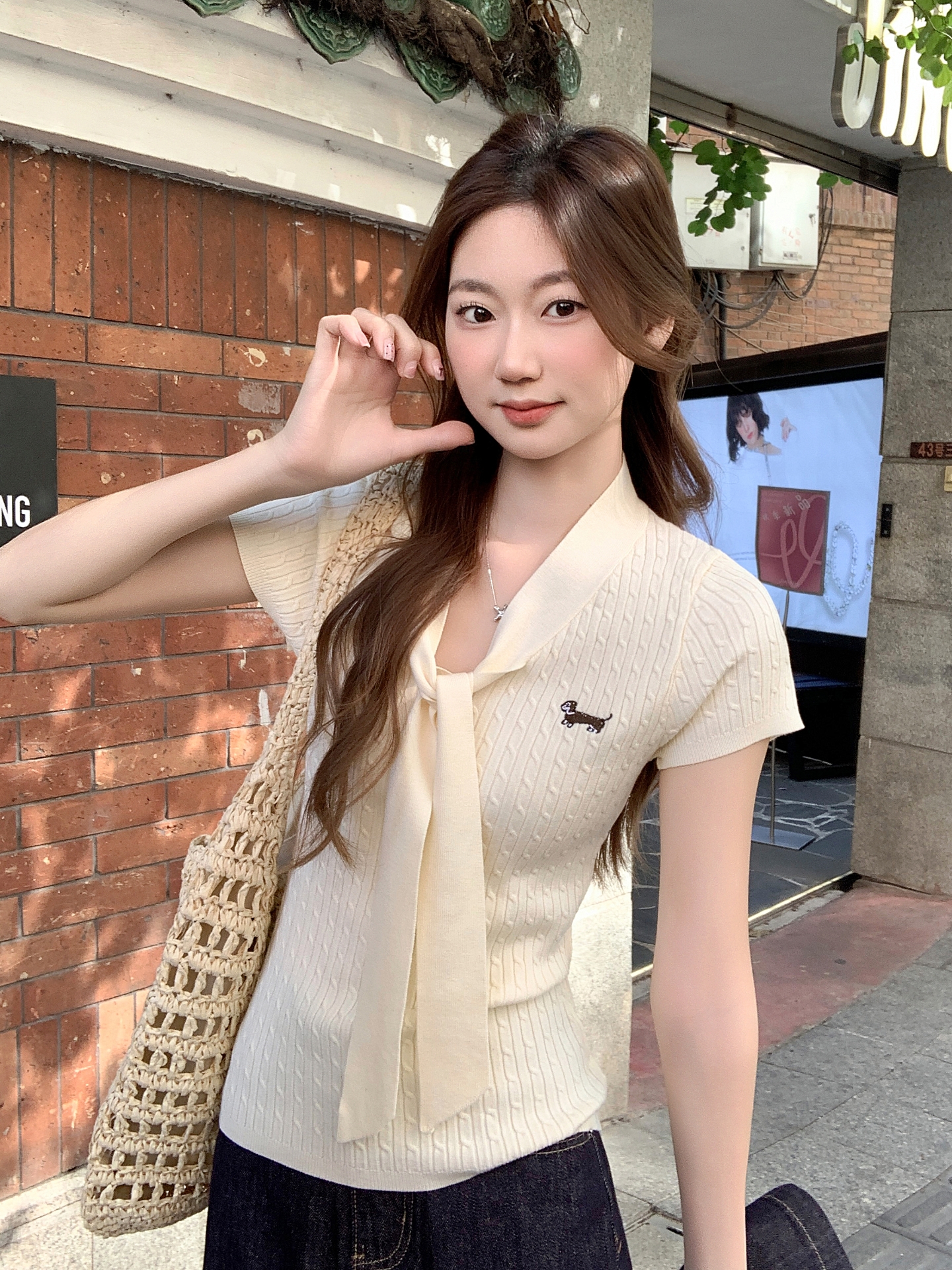 Korean Dachshund Embroidered Knit Short Sleeve V-Neck Women's T-Shirt 2026 New Lace-Up Slim Fit Top - Image 4