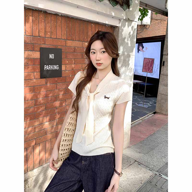 Korean Dachshund Embroidered Knit Short Sleeve V-Neck Women's T-Shirt 2026 New Lace-Up Slim Fit Top - Image 5